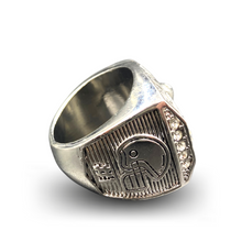 Lade das Bild in den Galerie-Viewer, Fantasy Football Championship Ring 2014